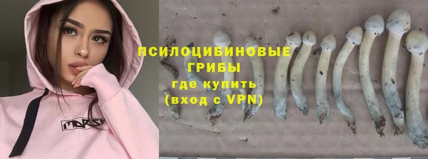 дурь Абаза