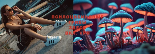 спайс Абинск