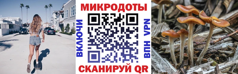 Псилоцибиновые грибы Psilocybine cubensis  купить  сайты  Нариманов 