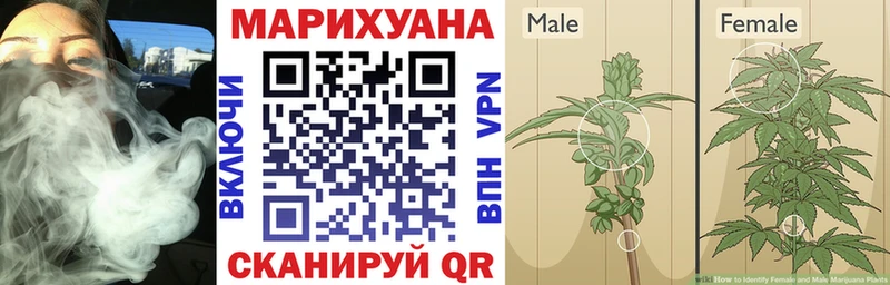 наркотики  kraken онион  Канабис SATIVA & INDICA  Нариманов 